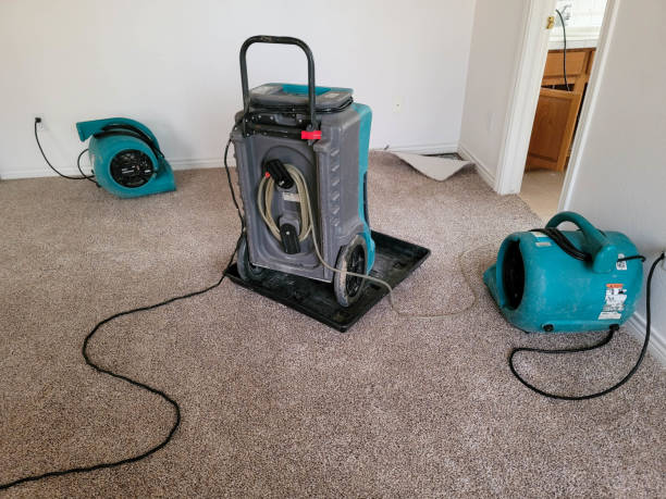 Best Commercial water damage restoration  in Hayesville, OR