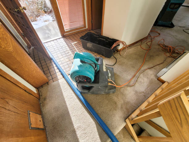 Best Water damage restoration process  in Hayesville, OR