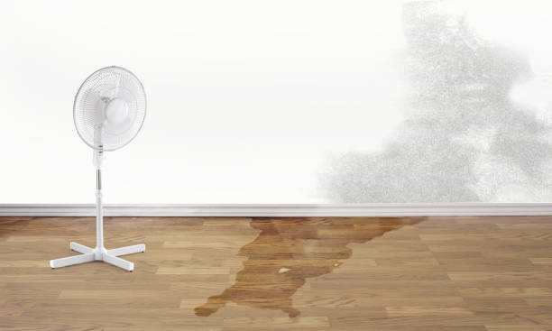 Best Flood damage cleanup  in Hayesville, OR
